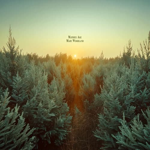 Pine Horizon