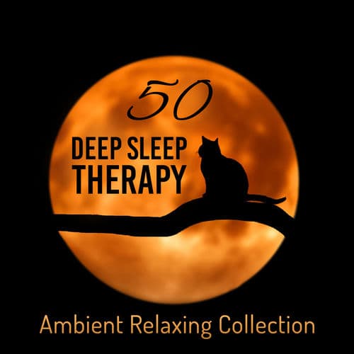 Deep Floating Silence Therapy