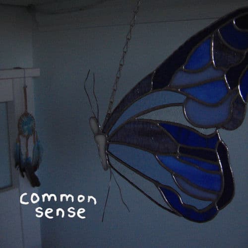 common sense