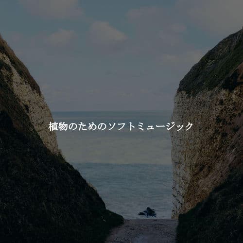 植物のためのソフトミュージック