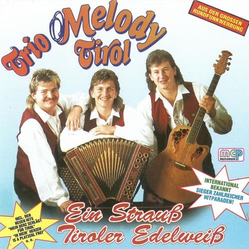Ein Strauß Tiroler Edelweiß