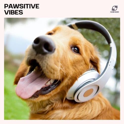 Pawsitive Vibes