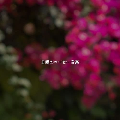 日曜のコーヒー音楽