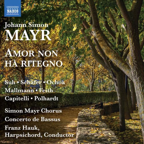 Mayr: Amor non ha ritegno